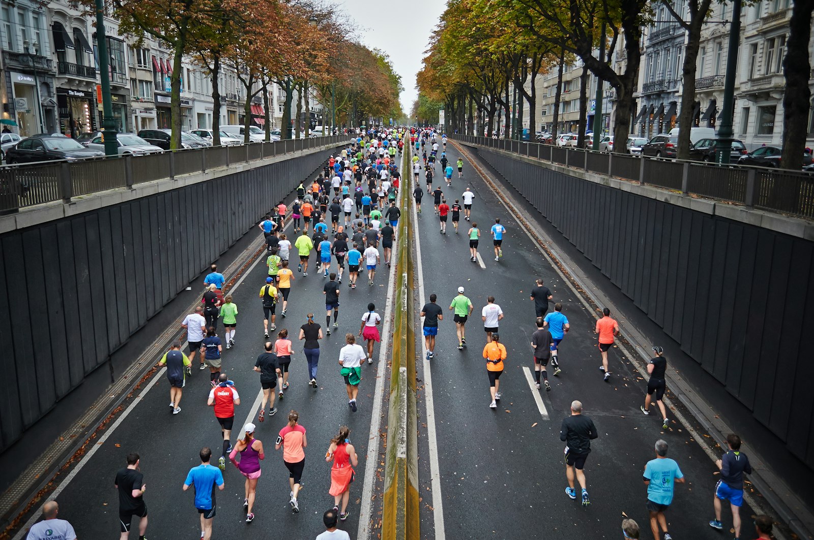 Viele Läuferinnen und Läufer auf einer breiten Straße zwischen Altbauten und Bäumen mit Herbstlaub